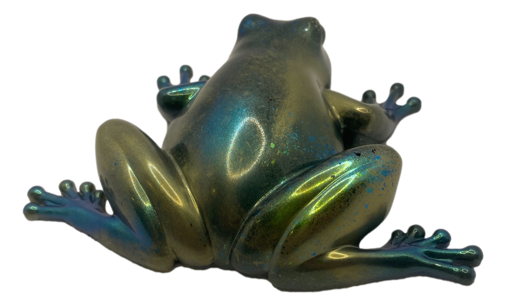 Stunning Green Frog