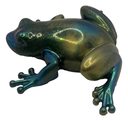 Stunning Green Frog