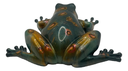 Green Frog With Warts