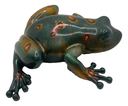 Green Frog With Warts