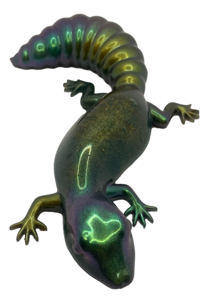 Green Colour-changing Fat Tailed Gecko