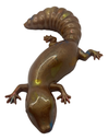 Tan Fat Tailed Gecko