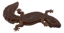 Tan Fat Tailed Gecko