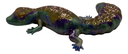 Beautiful Multi-coloured Fat Tailed Gecko