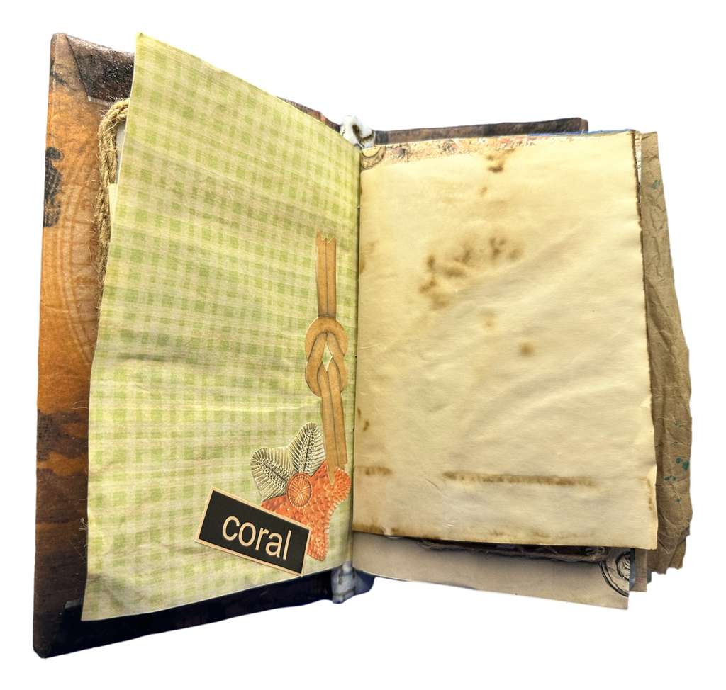 Nova Scotia Travel Junky Journal