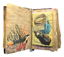 Nova Scotia Travel Junky Journal