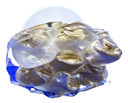 Pearl Shells Phone Grip
