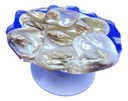 Pearl Shells Phone Grip