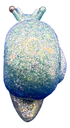 Light Blue & Green Resin Snail