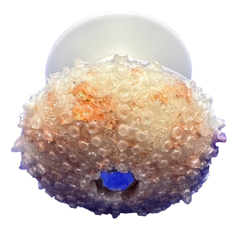 Soft Pink Sea Urchin Phone Grip