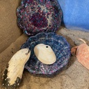 Amazing Silver, Blue & Purple Scallop Shell Resin Storage Dish