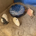 Amazing Silver, Blue & Purple Scallop Shell Resin Storage Dish