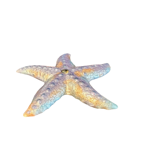 Pastel Shoreline Resin Starfish