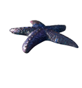 Rich Colour-shifting Blue Resin Starfish