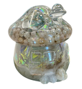 ShroomGlo Resin Delight Jar  with Lid