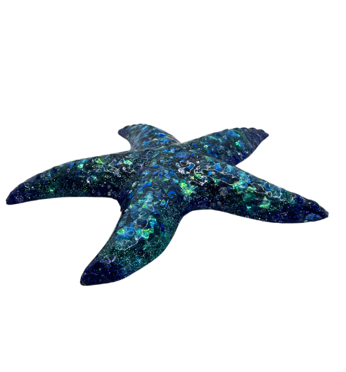 Enchanted Seafarer's Star