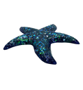Enchanted Seafarer's Star