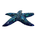 Enchanted Seafarer's Star