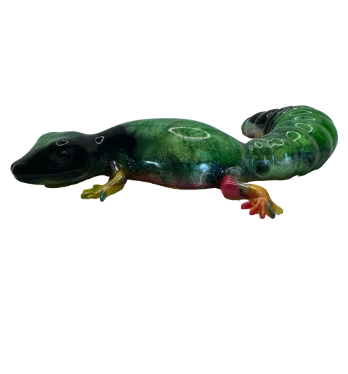 Rainbow Rascal Fat-tailed Gecko