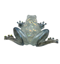 Iridescent Coloured Resin Frog