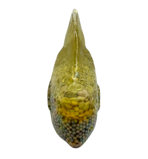 Rainbow Bubble Bliss Resin Sunfish 