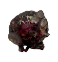 Rosebud Ribbeting Resin Toad