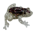 Pearl Splash 3D Froggy Resin Figurine