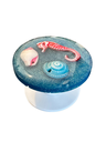 Seahorse Splash Phone Pop 
