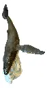 IMG_0180_clipped_rev_1.webp