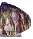 IMG_0674_clipped_rev_1.webp
