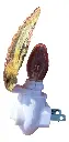 IMG_1476_clipped_rev_1.webp