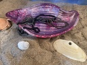 Two Tone Pink Glitter Shell Trinket Tray