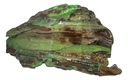 Green Driftwood Decor Piece