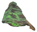Green Driftwood Decor Piece