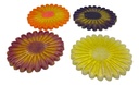 Bright Spring Colours Floral Coaster Set with Container