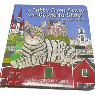 The Tabby From Away Who Came to Stay - Children's Book