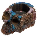 Coloured Skull Planter