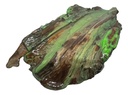 Green Driftwood Decor Piece