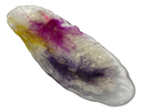 Colourful Feathers in a Resin Feather Tray
