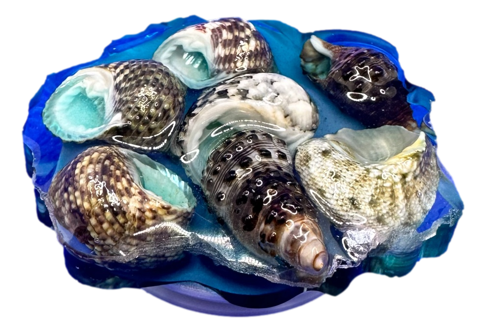 Ocean Blue Geode with Shells Phone Grip
