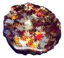 Fall Colours Geode Phone Grip