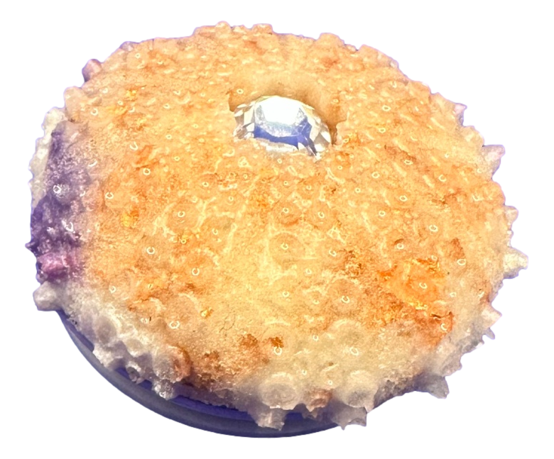 Soft Pink Sea Urchin Phone Grip