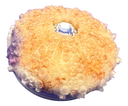 Soft Pink Sea Urchin Phone Grip