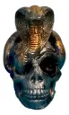 Cobra Snake Skull 3D