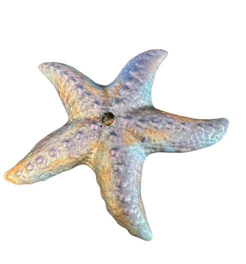 Pastel Shoreline Resin Starfish