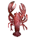 Scarlet Whirl Resin Lobster