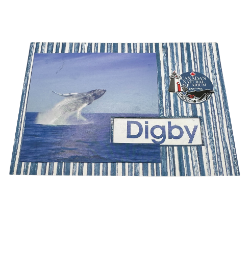 Breaching Whale Note Card 