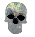 Enchanted Midnight Specter Resin Skull