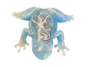 Neon Hops & Dinosaur Resin Frog