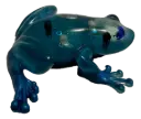 Jelly Fish Ocean Frog